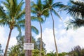 Beware of falling coconuts sign