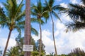 Beware of falling coconuts sign