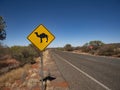 Beware if feral camel central Australia