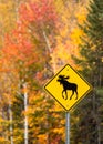 Beware of moose road sign in National Park, Quebec, . Watch out for moose Royalty Free Stock Photo