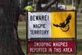 BEWARE of Swooping Magpies Sign in Western Australia Royalty Free Stock Photo