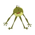 Bewildered frog, funny amfibian animal cartoon character vector Illustration on a white background Royalty Free Stock Photo