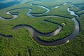 bewildering maze of waterways and tributaries in the amazonas Royalty Free Stock Photo