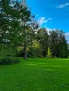 fascinating landscape of the park gentle greenery of a larch tree smooth smooth surface of the lawn