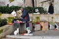 Beyazit Square, cats feeding point in Istanbul, Turkey Royalty Free Stock Photo