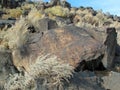 Petroglyph National Monument in New Mexico