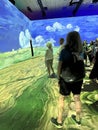 Beyond Van Gogh. The Immersive Experience. Pensacola, Florida August 2023