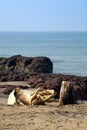 Beypore beach is a just few kms away from the Kozhikode town