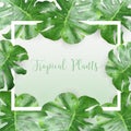 BG green leave low poly-2 Royalty Free Stock Photo