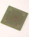 BGA chip in prospect Royalty Free Stock Photo