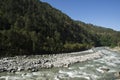 Bhagirathi River at Gangotri, Uttarkashi District, Uttarakhand,