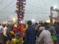 Chatha Puja in Delhi, Worship of Sun Royalty Free Stock Photo