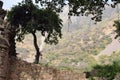 Bhangarh nature.