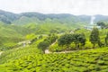 Bharat tea plantation