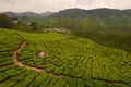 Bharat Tea Plantations Sdn. Bhd.