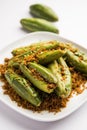 Bharwa Parwal or Stuffed Pointed Gourd Recipe, Indian healthy meal Royalty Free Stock Photo