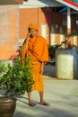 Buddhist monk bhikkhu in Thailand temple wat talking the mobile phone Royalty Free Stock Photo