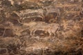 Bhimbetka Rock Shelters