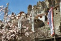 Bhraka or Braga gompa and village Royalty Free Stock Photo