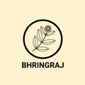 Bhringraj logo design, Eclipta Alba or Eclipta Prostrata, also known as False Daisy is an effective herbal medicinal plant in Ayur