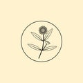 Bhringraj logo design, Eclipta Alba or Eclipta Prostrata, also known as False Daisy is an effective herbal medicinal plant in Ayur