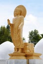 Bhudda statue