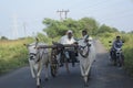 Bhusawal, India - DEC 27, 2014: A Indian farmer riding bullock cart, rural village, waghur, jamner road, bhusawal, Maharashtra, Royalty Free Stock Photo