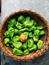 Bhut Jolokia also known as ghost pepper