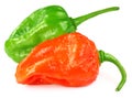 Bhut Jolokia chili peppers