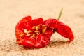 Bhut Jolokia or Ghost Pepper, Chilli fruits on sack background