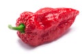 Bhut Jolokia ghost pepper, paths