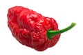 Bhut Jolokia ghost pepper, paths