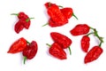 Bhut Jolokia ghost peppers, paths, top view