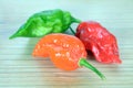 Bhut jolokia pepper Royalty Free Stock Photo