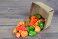 Bhut jolokia pepper Royalty Free Stock Photo