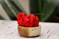Bhut jolokia pepper in small pot Royalty Free Stock Photo