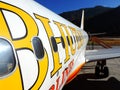 Bhutan airlines flight