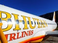 Bhutan airlines flight