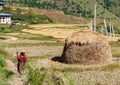 Picturesque agricultural landscape in rural Bhutan Royalty Free Stock Photo