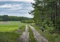 on the edge of the bialowieza forest, podlasie, poland Royalty Free Stock Photo