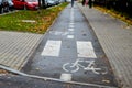 Bialystok. Poland - 20.10.2014: Cyclist path in autumn leaves. The bike path is wet with rain.