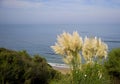 Biarritz coastline Royalty Free Stock Photo