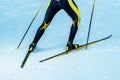 Biathlete or cross-country skier back with legs and equipment detail of legs