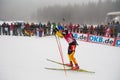 Biathlon Royalty Free Stock Photo