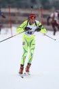 Biathlon Royalty Free Stock Photo