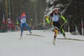 Biathlon Royalty Free Stock Photo