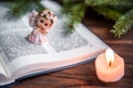 The Bible, angel and candle on wooden background. Christian faith. Christmas Day Royalty Free Stock Photo