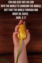 Bible charity quotes for believers. Inspirational Christian verse Child hand hold yellow tulip flower. Love care support