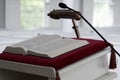 Bible On Church Pulpit Royalty Free Stock Photo