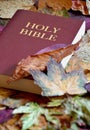 Bible between colorful autumn leaves